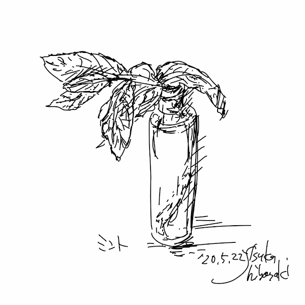 今日のスケッチ＊20200522ミント