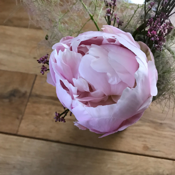 今日の花＊20200510