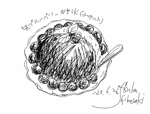 今日のスケッチ＊20200626生ブルーベリーかき氷