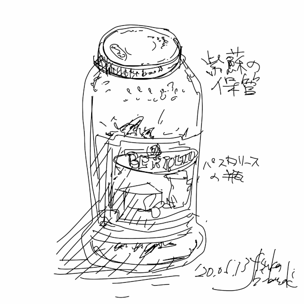 今日のスケッチ＊20200613紫蘇の保管