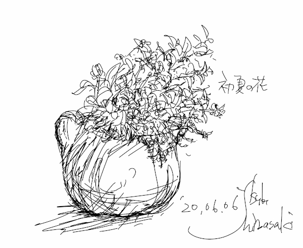 今日のイラスト＊20200606初夏の花