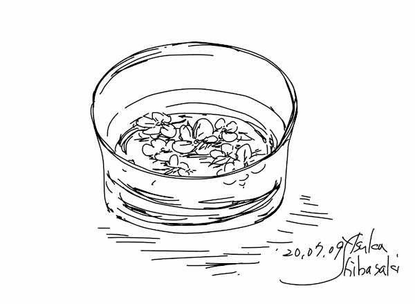 今日のスケッチ＊20200709水に浮かべた花