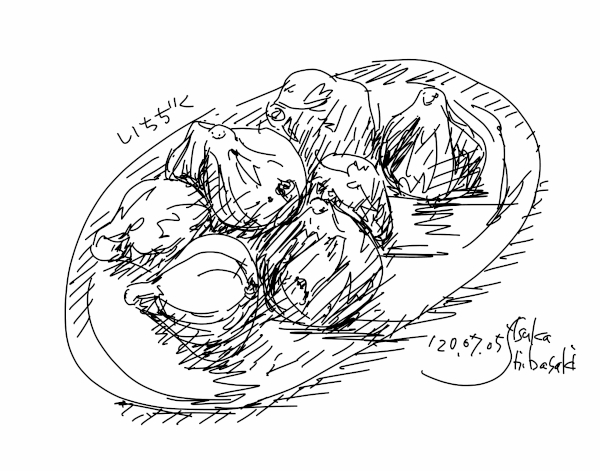 今日のスケッチ＊20200705青イチジク