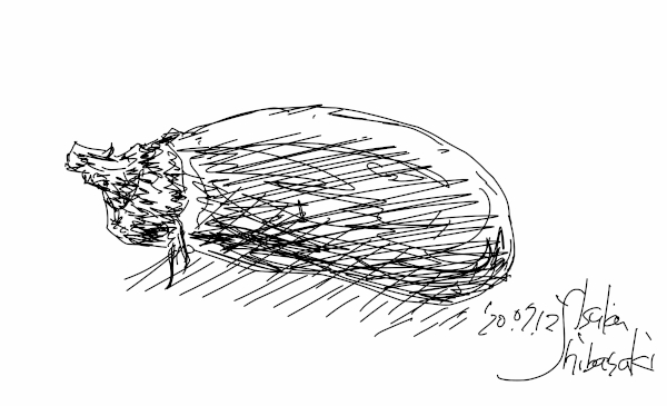 今日のスケッチ＊20200712茄子