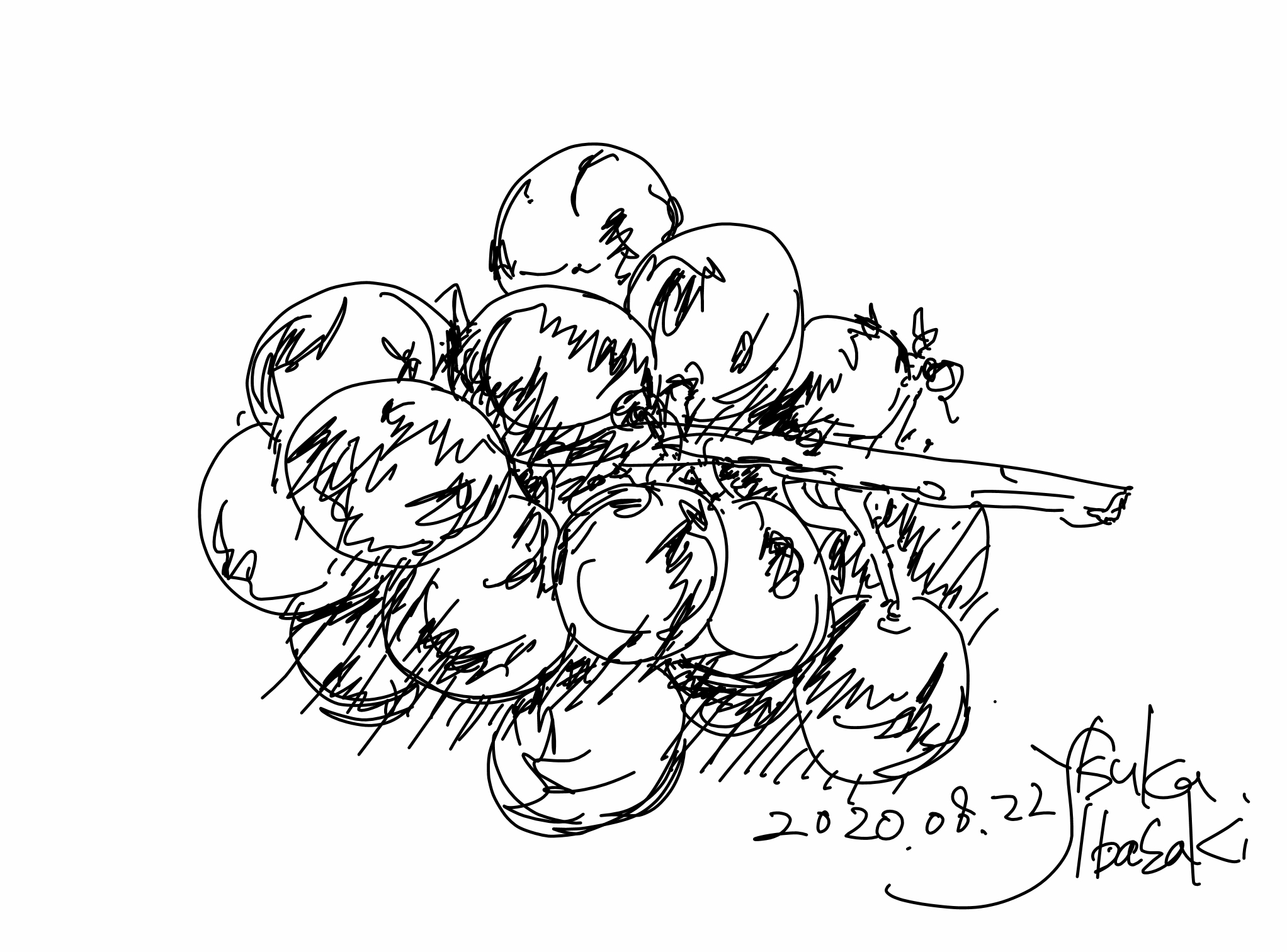 今日のスケッチ＊20200822葡萄