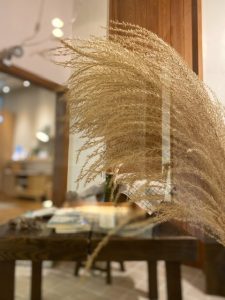 14AB091E-EEC2-4B91-B895-98BA33E76F24