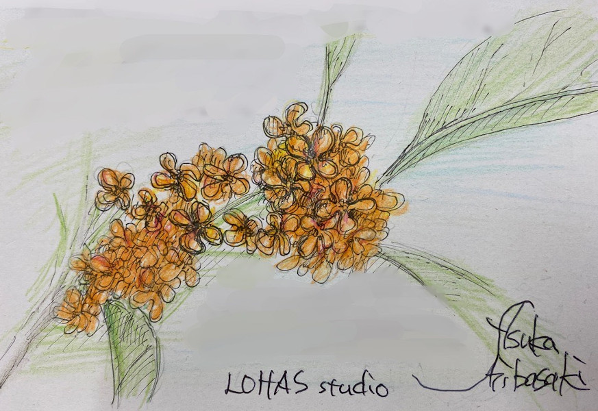 今日のスケッチ＊20201003