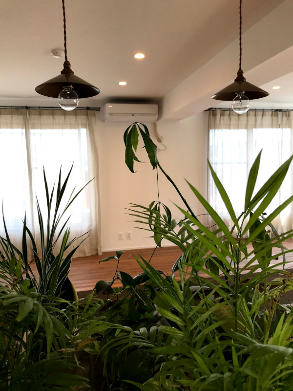 キッチンの真鍮カサのペンダントライト