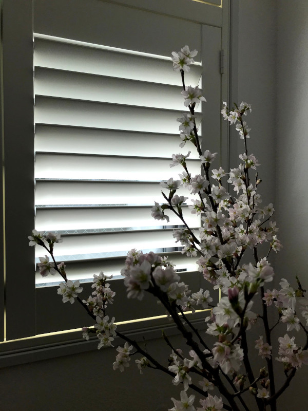 木漏れ日のような優しい光で春を感じるLOHAS studio Musashikosugi