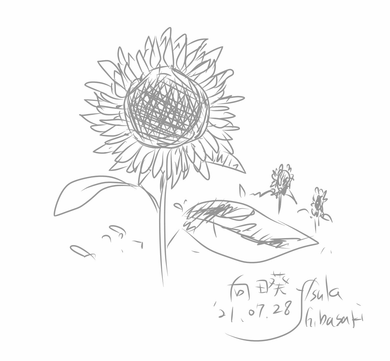 二十四節季-大暑＊七十二候-土潤溽暑