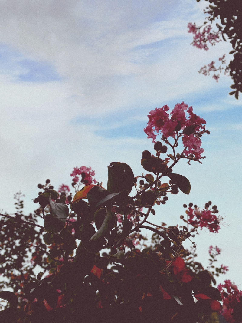 お待ちかねの秋の訪れ2021