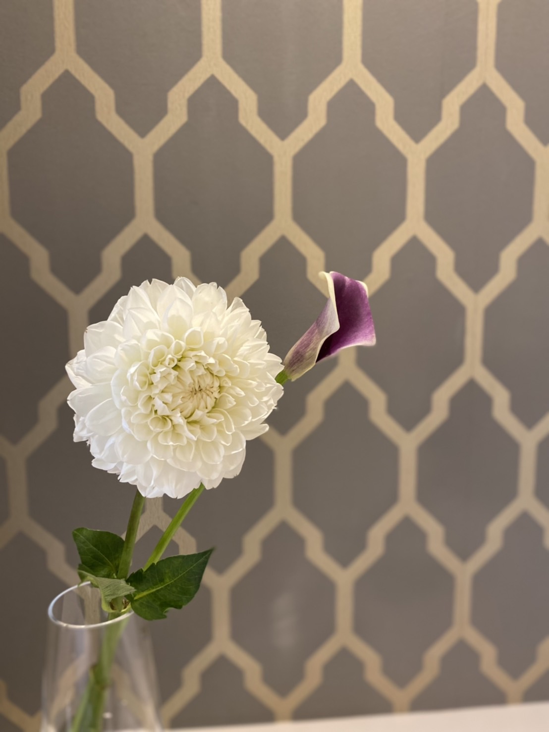 ダリア柄のモザイクタイルと生花のダリア