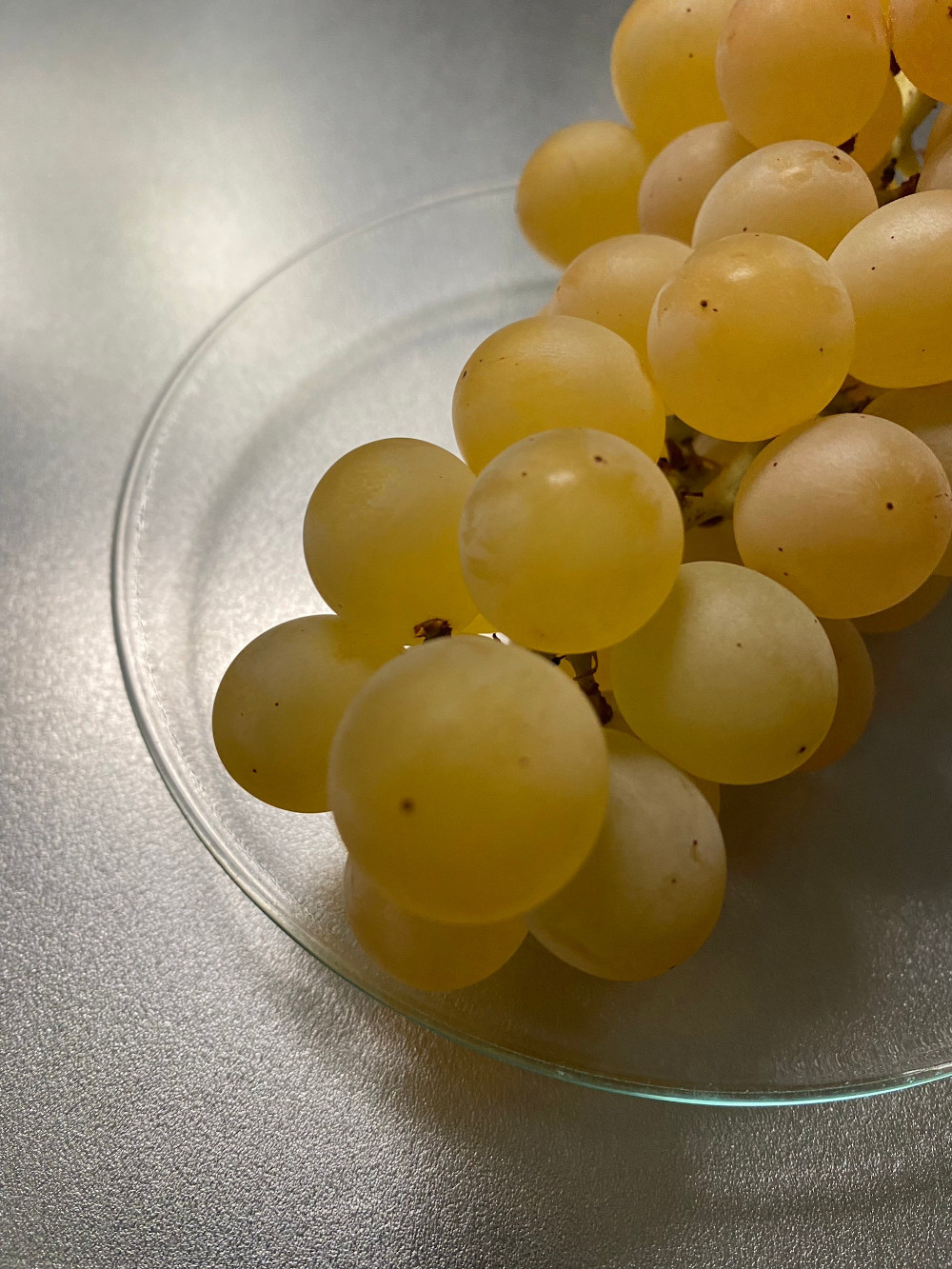 秋の味覚：葡萄