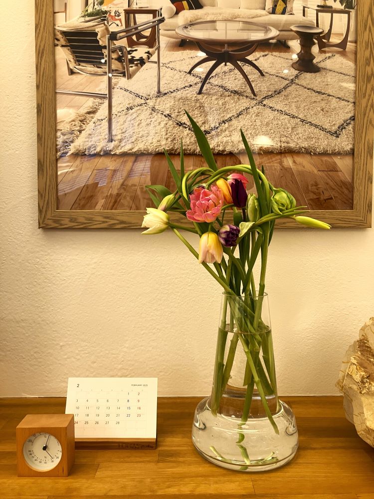 色とりどりのチューリップ～2025