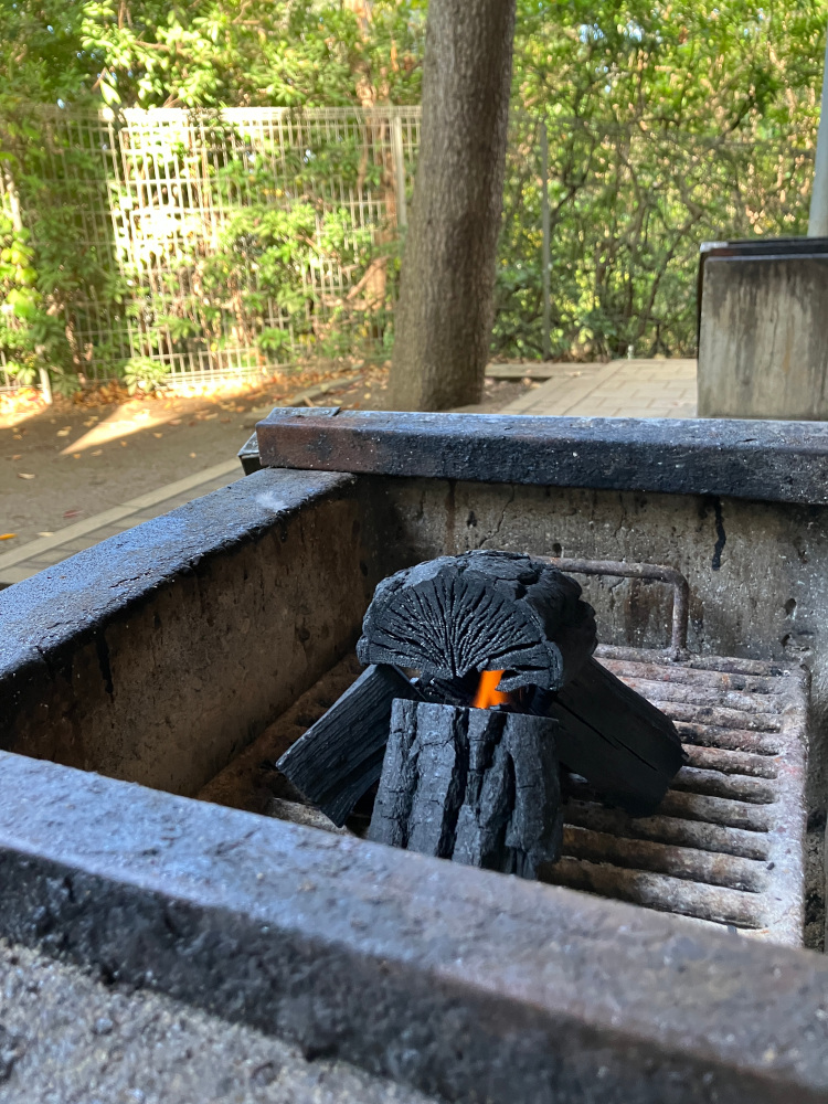 バーベキュー2024