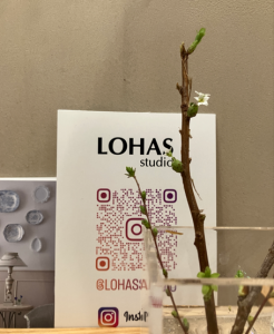 スクリーンショット 2026-03-07 103550