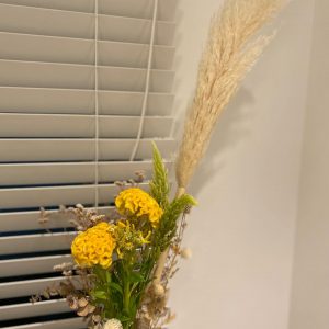 240600162_4301971669919275_4261660228277364714_n