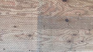 20191119_191210_0008