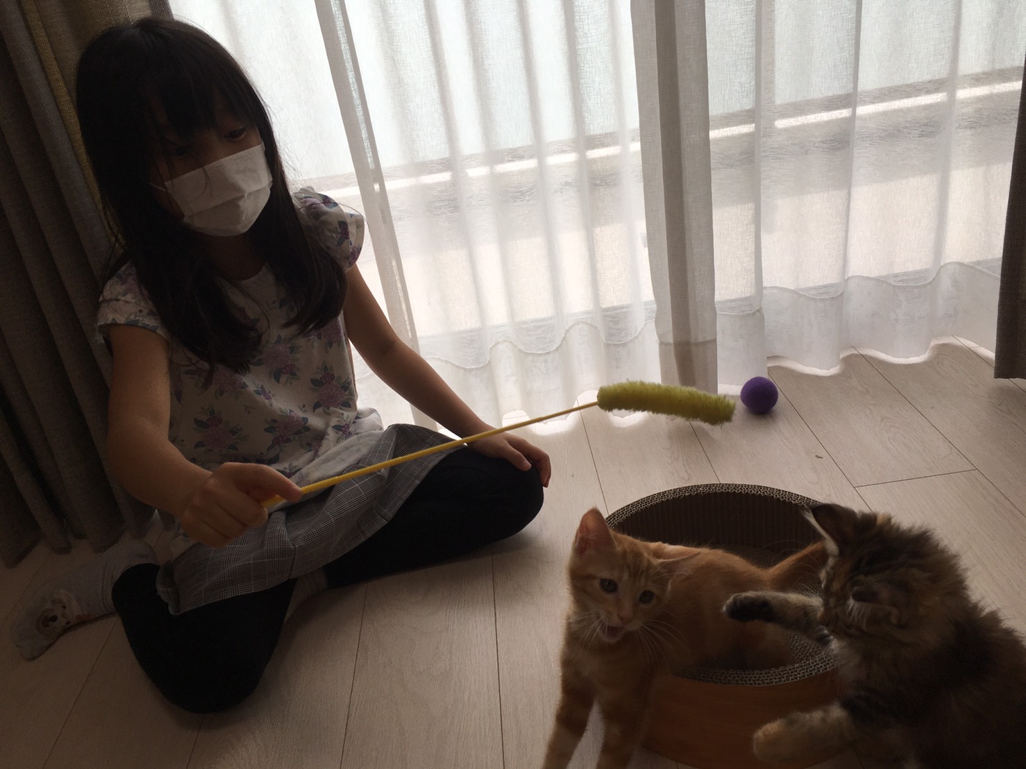 やっぱり猫が好き♡