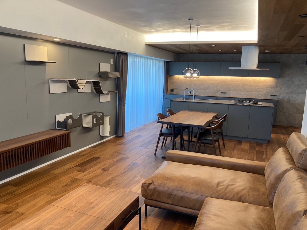 猫壁（にゃんぺき）&#x1f408;