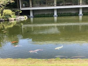 38EF0C48-445B-4E4D-A8F8-48F412AC6E44