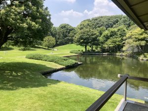 C56756A8-7FDD-47BB-AF7A-E569A4B13A44