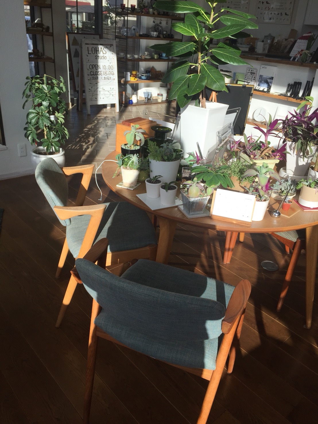 仕事納め～みなさま、よいお年を♪～