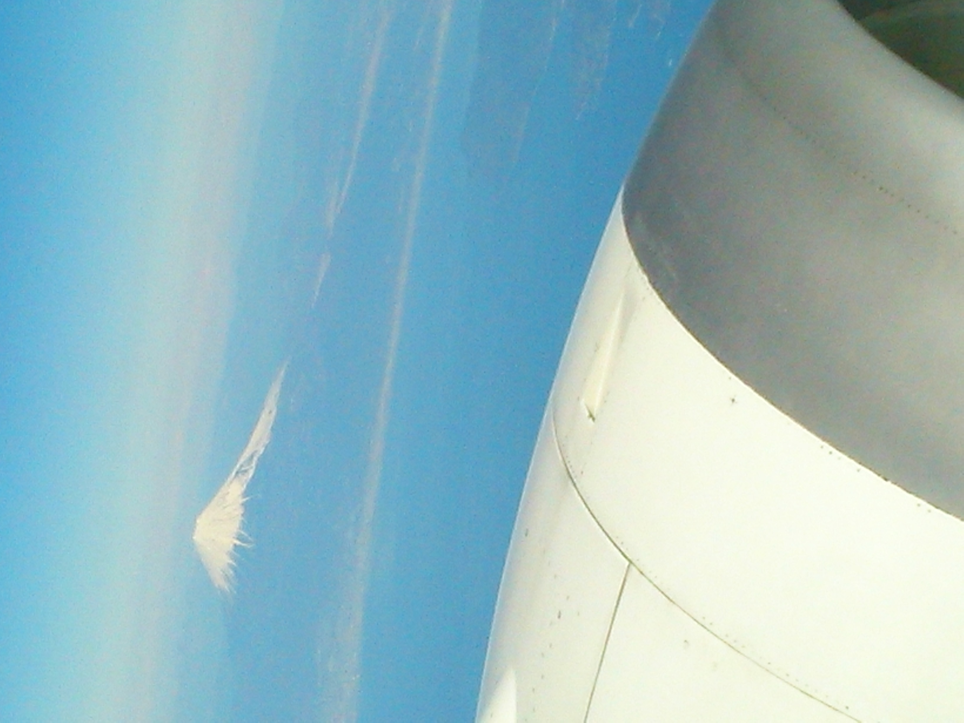 あけましておめでとうございます