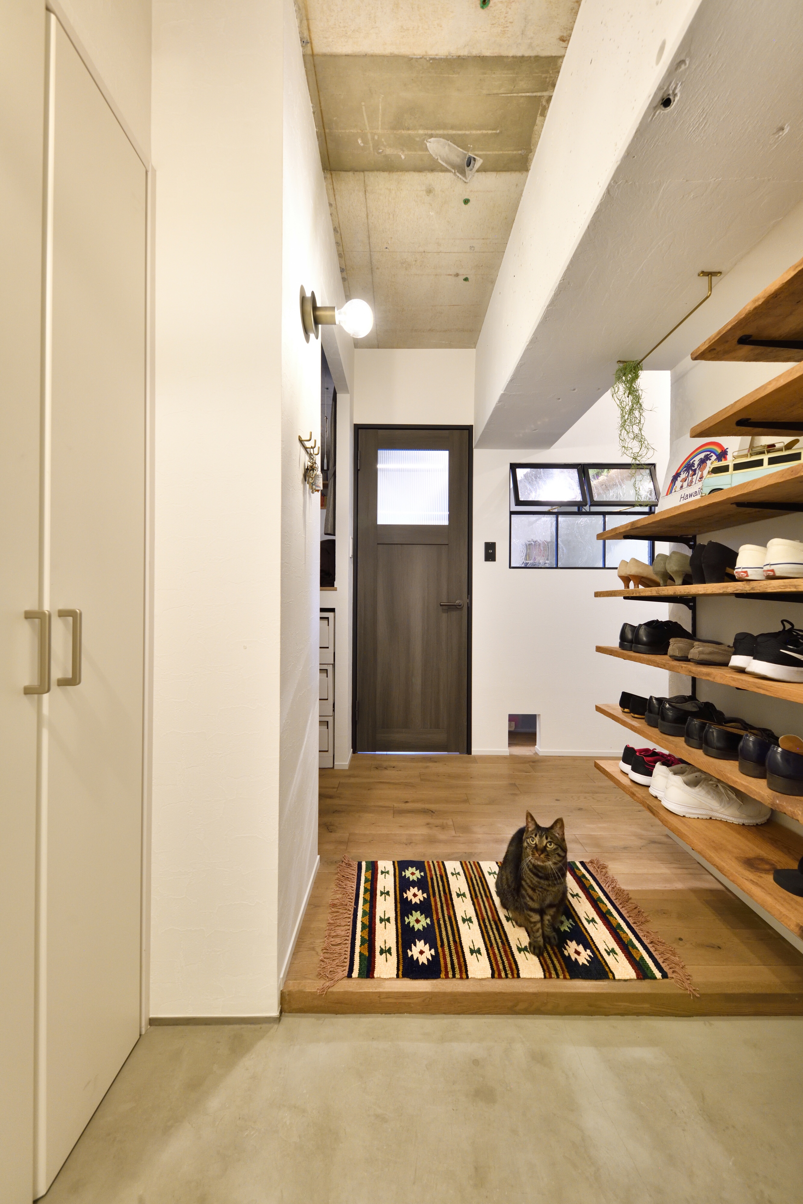 猫と暮らす🐈photo②