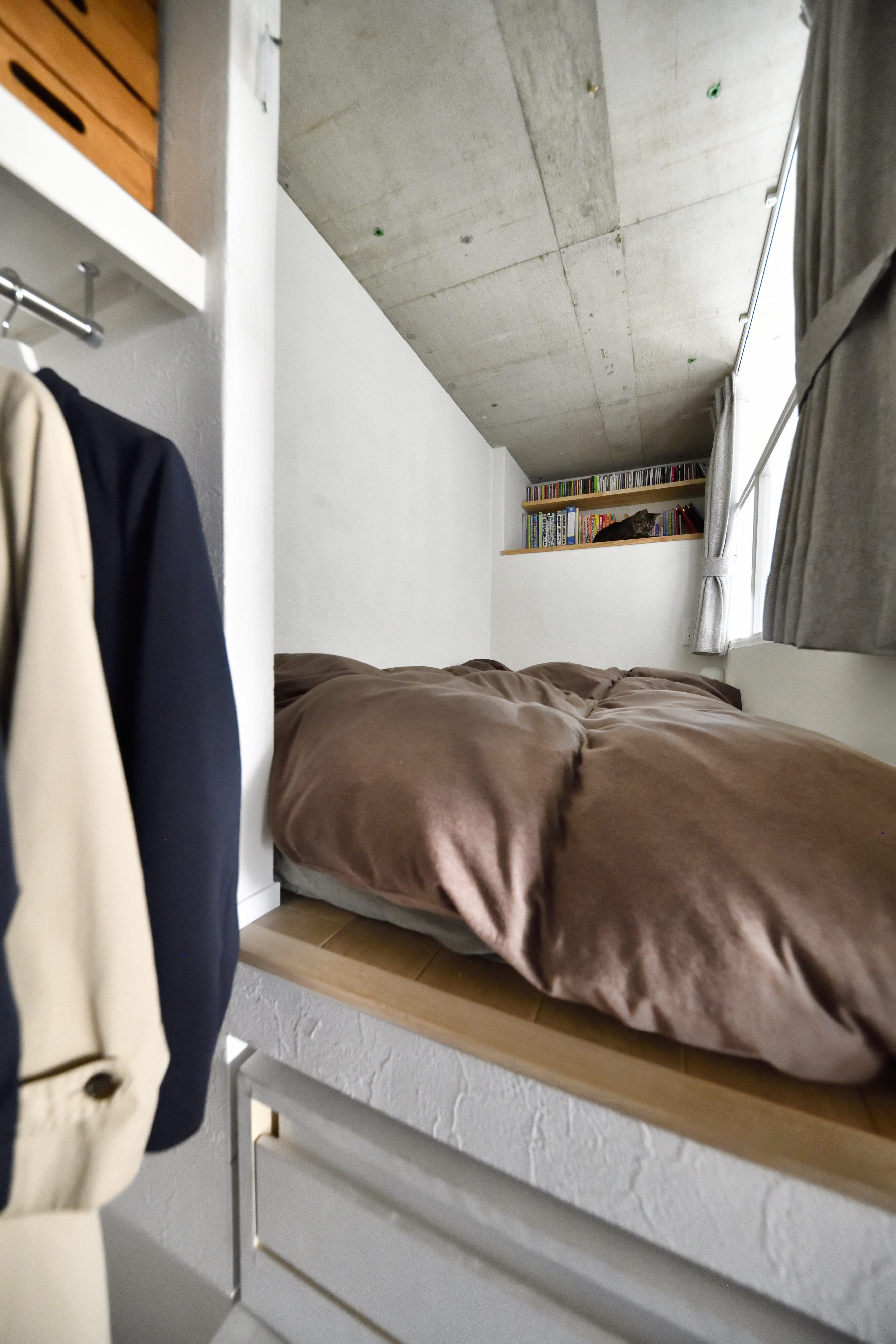 猫と暮らす🐈photo③