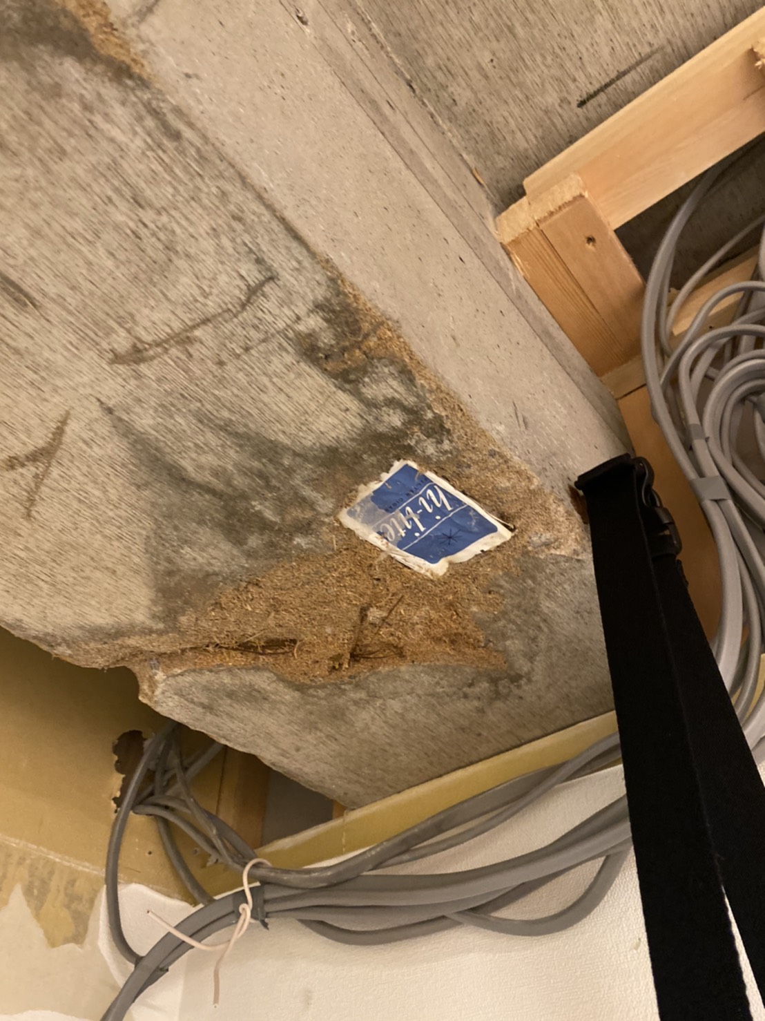 躯体の中から出てきた物は・・？