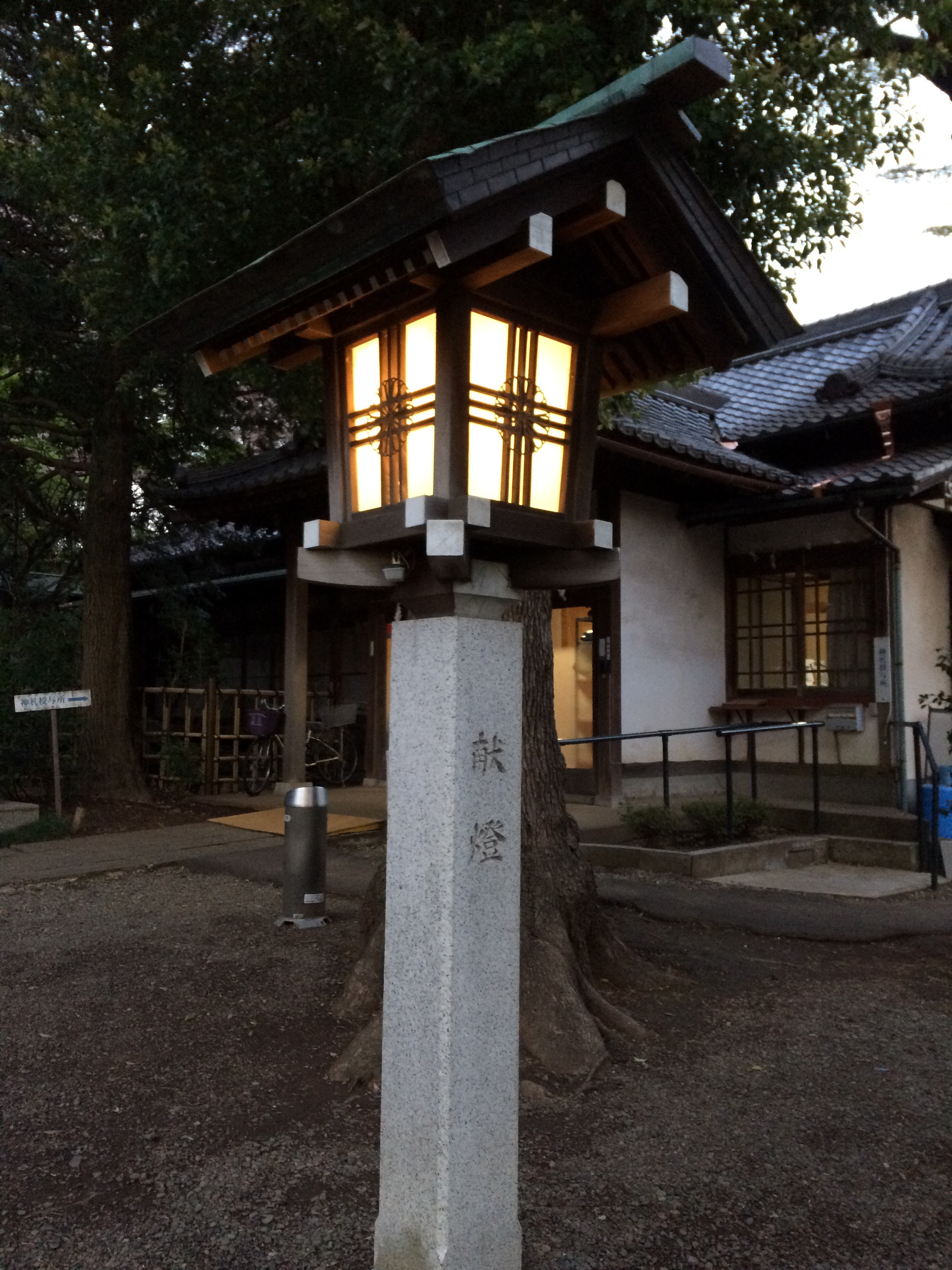 用賀神社の巨木