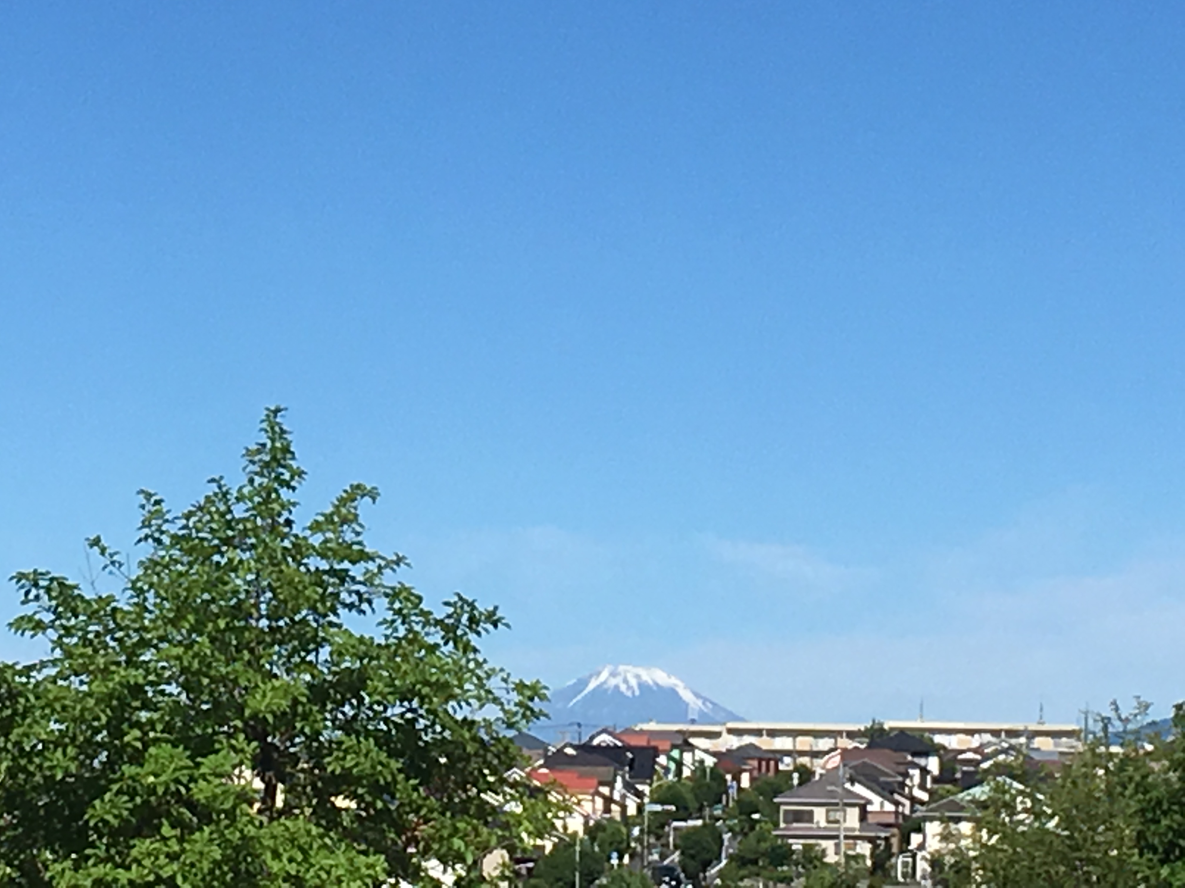 富士山！