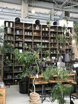 気になるお店を発見。