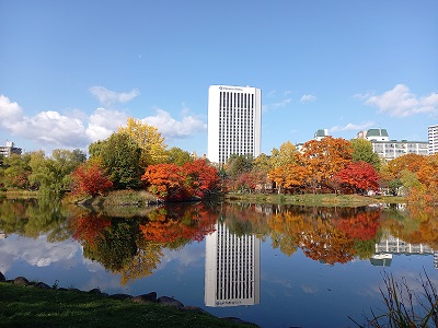 秋のおすそ分け