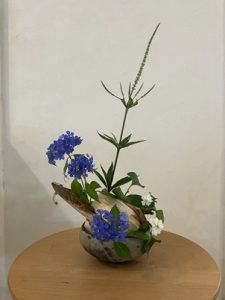 IMG_6343