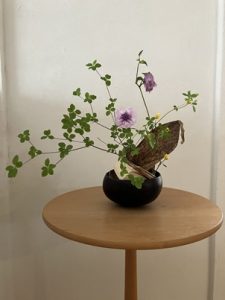 IMG_6345