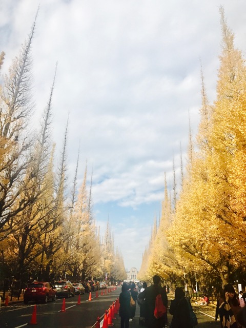 1F2DABB9-C156-44D2-B056-4103FEC105DB