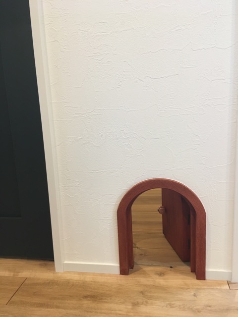 A1E8A5C0-EDF3-4D01-85C5-1DC27CB0C957