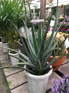 3A22E951-3EF3-4236-960E-E14CA2E1B0DA