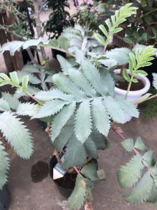 3A555012-9013-4574-97DA-8C43388E461E