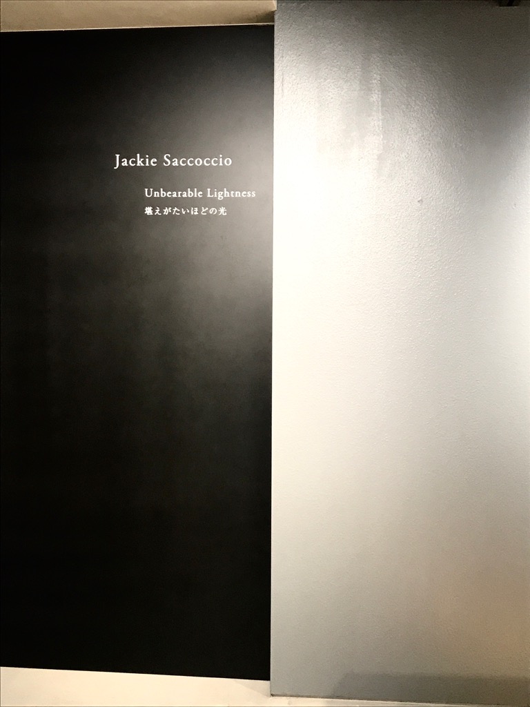 芸術の秋2018〜都内ギャラリー巡り①〜