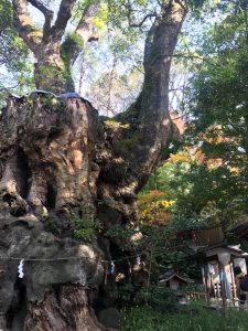 5AEC1B6D-DB26-4299-90AE-1CAE6D78A998