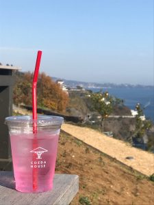 5DE8113C-A6A1-4199-BA0D-46C653894F1A