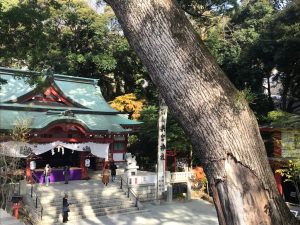 97B8AEDA-30AD-4A60-B8FF-F41E7F498DE2