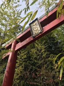 DA450C6B-2FAB-4504-840B-4300A3C92AC4