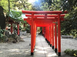 E1747066-F0E2-4E39-BA8D-BA77E1D20408