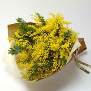 DF4D1F48-CBAF-4A94-AEA3-E1B58A9BFF5A