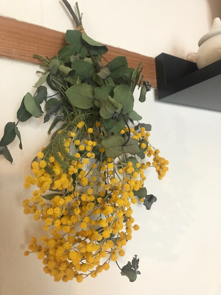 3月8日はミモザの日