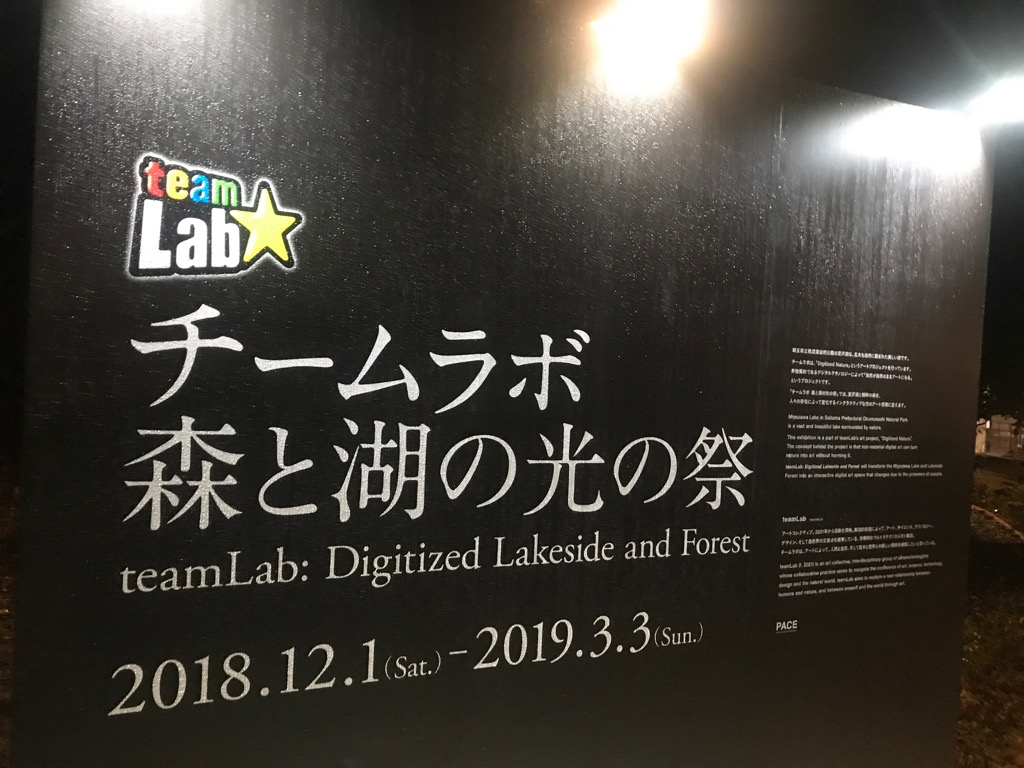 湖でチームラボ